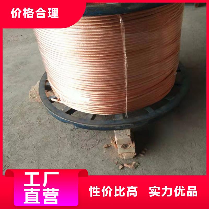 镀锡铜绞线标准售后无忧一米多少钱