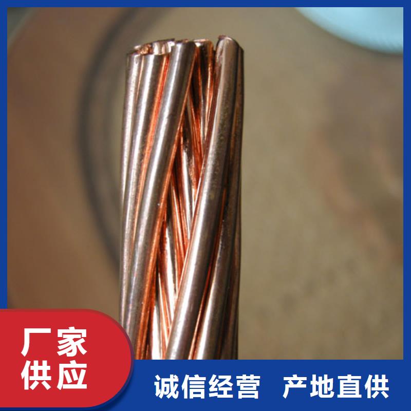 铜绞线紫铜排生产经验丰富