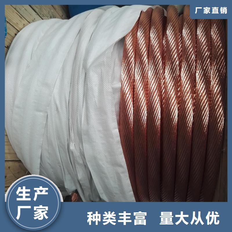 镀锡铜绞线标准生产含税含运费