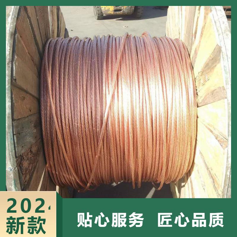 镀锡铜绞线规格型号本地厂家一米多少钱
