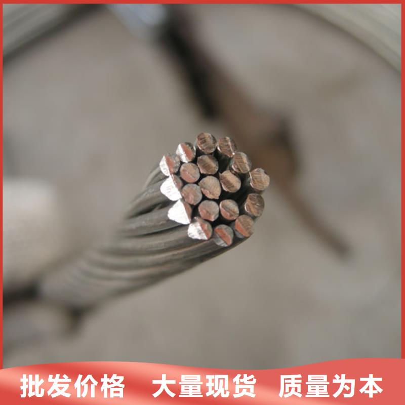 镀锡铜绞线标准择优有现货
