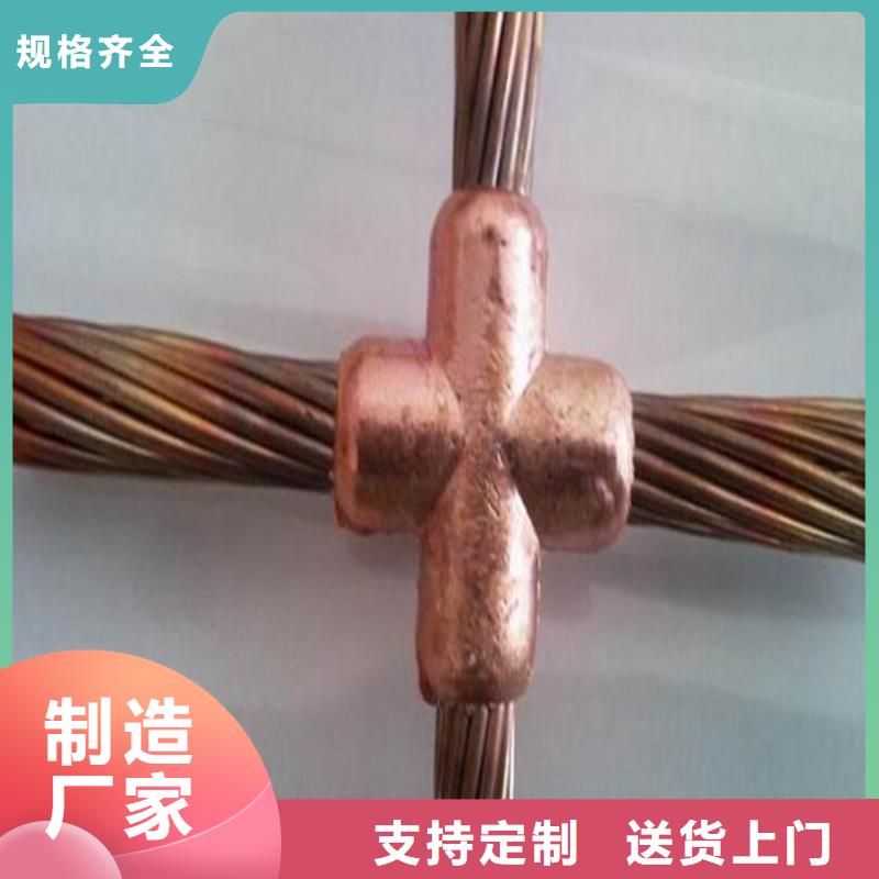 铜绞线标准本地厂家一米多少钱
