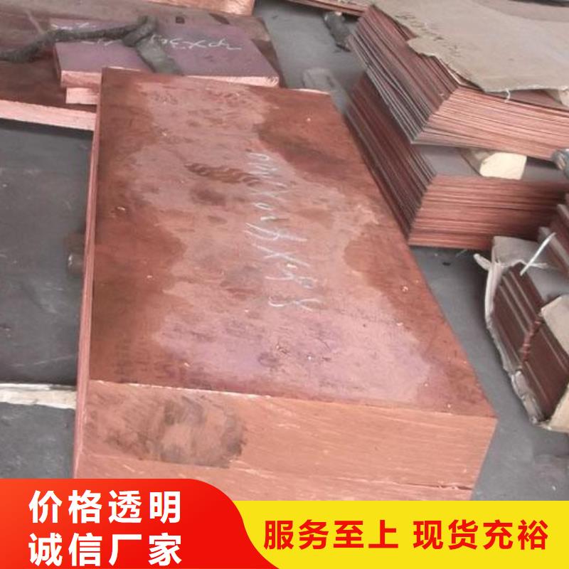 紫铜板_镀锡铜绞线技术先进