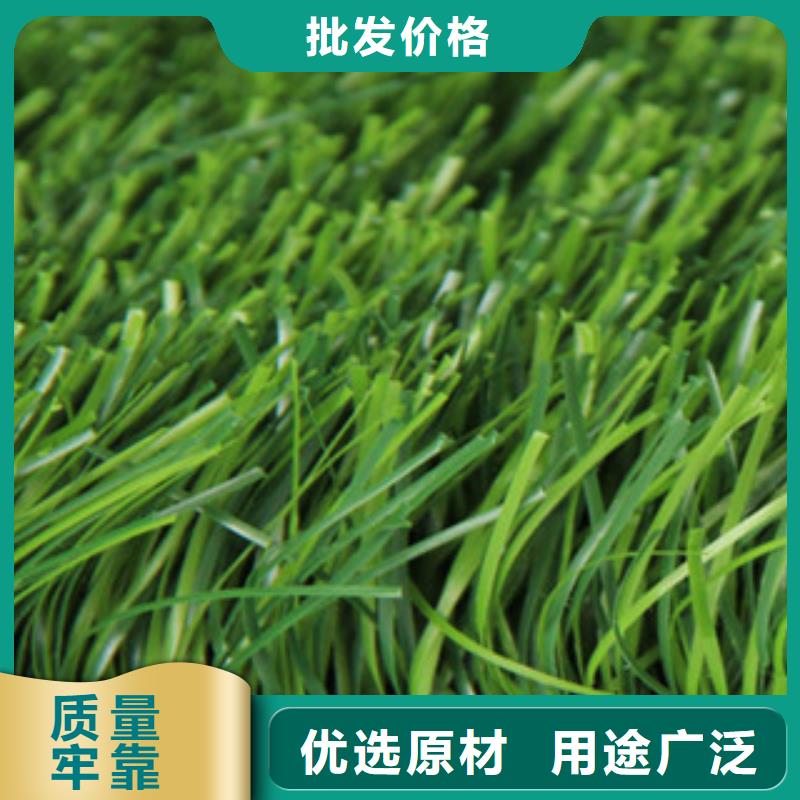 人造草坪N年专注