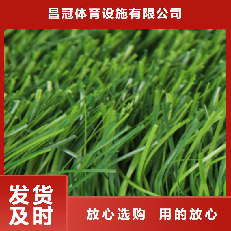 【人造草坪】塑胶跑道老客户钟爱