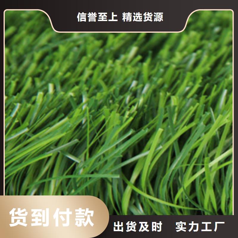 人造草坪当日价格