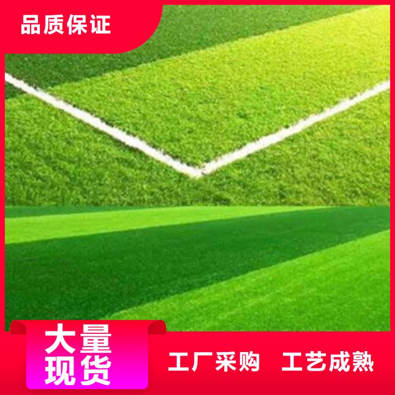 【人造草坪,硅pu球场品质有保障】