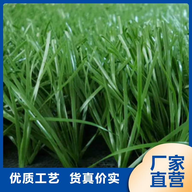 人造草坪-【硅pu球场】好品质售后无忧