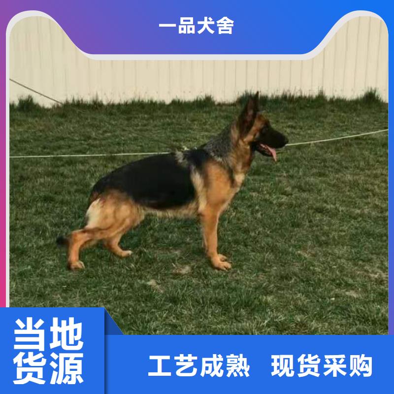 德国牧羊犬比特犬质量不佳尽管来找我