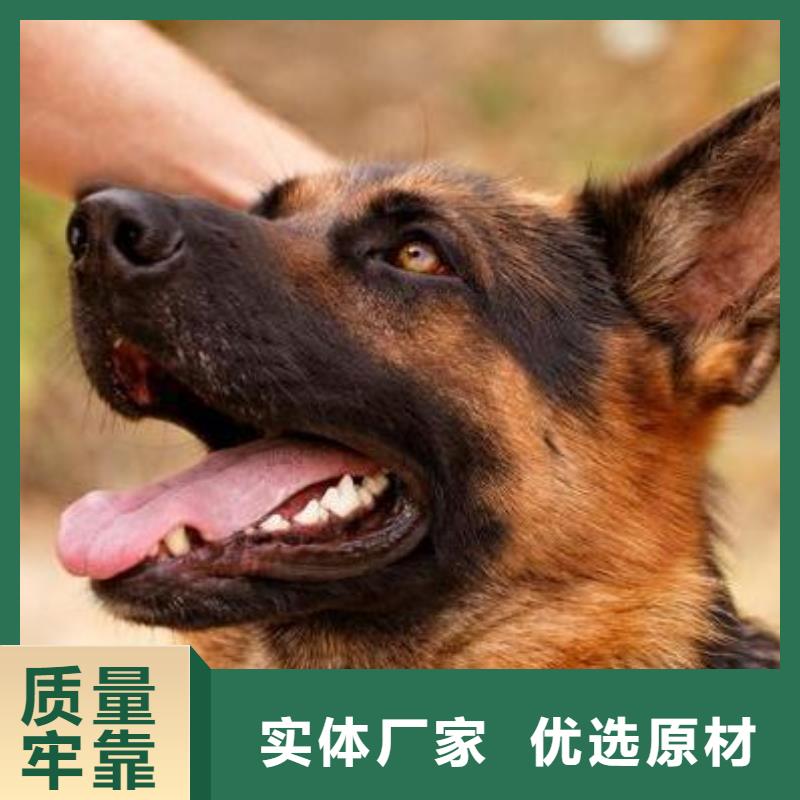 【德国牧羊犬拉布拉多犬质量为本】