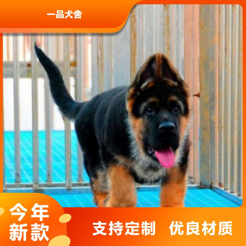 【德国牧羊犬杜宾犬实力公司】