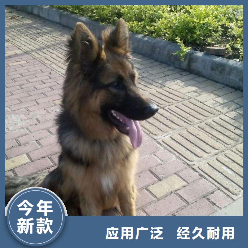 德国牧羊犬-【德牧犬】材质实在