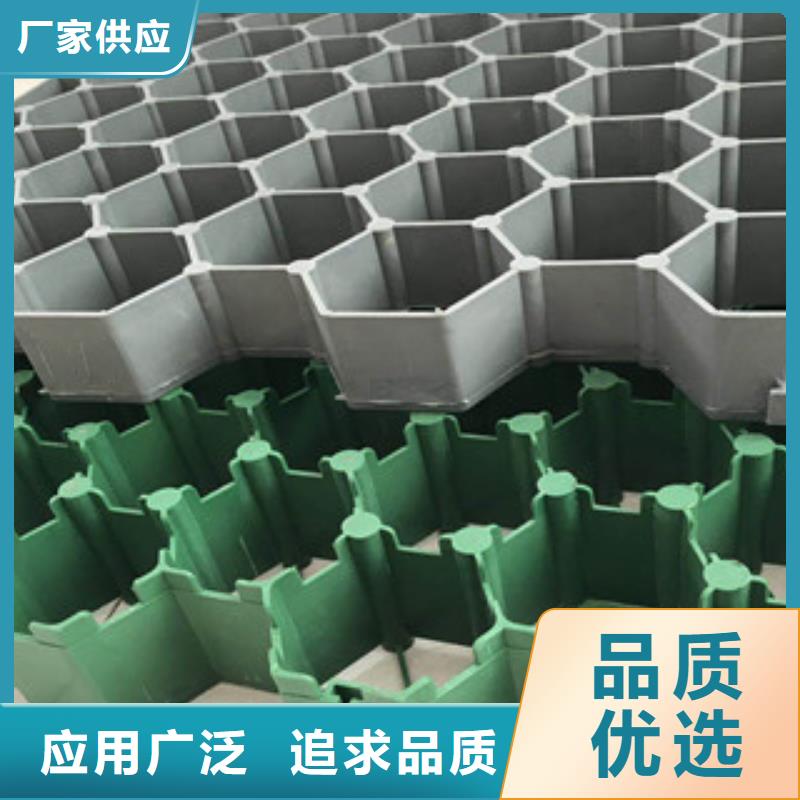 环保植草格植草格厂家高性价比