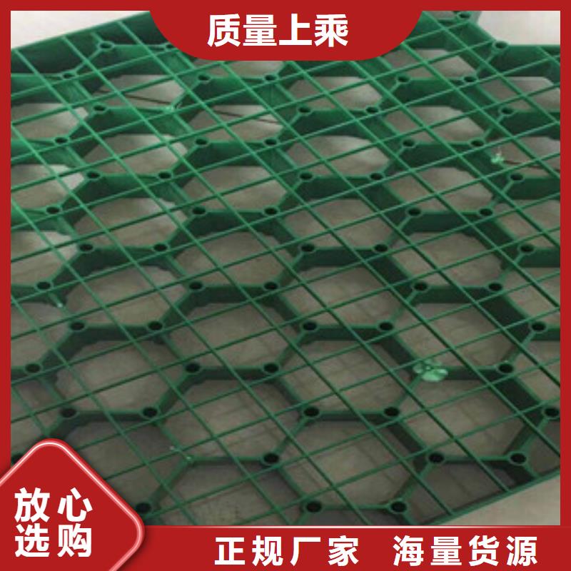 环保植草格膨润土防水毯厂家专业的生产厂家