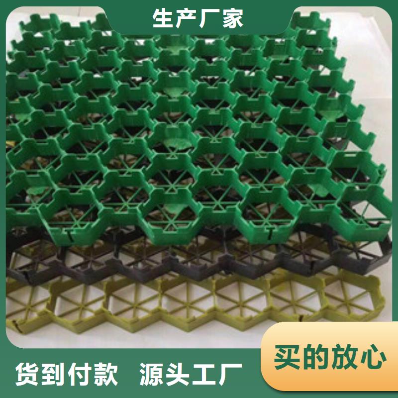 环保植草格_无纺布厂家专心专注专业