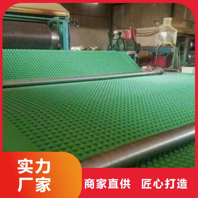 塑料排水板虹吸排水板厂家厂家品控严格