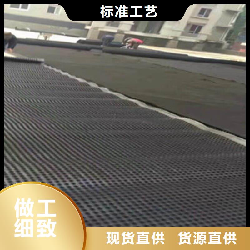 塑料排水板蓄排水板厂家诚信厂家