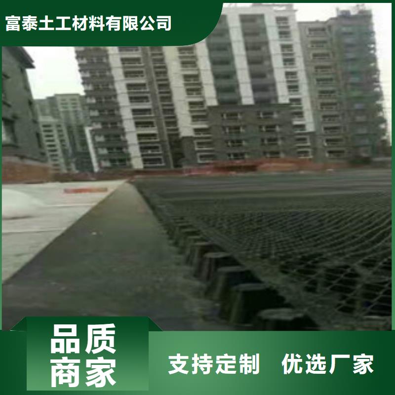 【塑料排水板蓄排水板厂家用心服务】