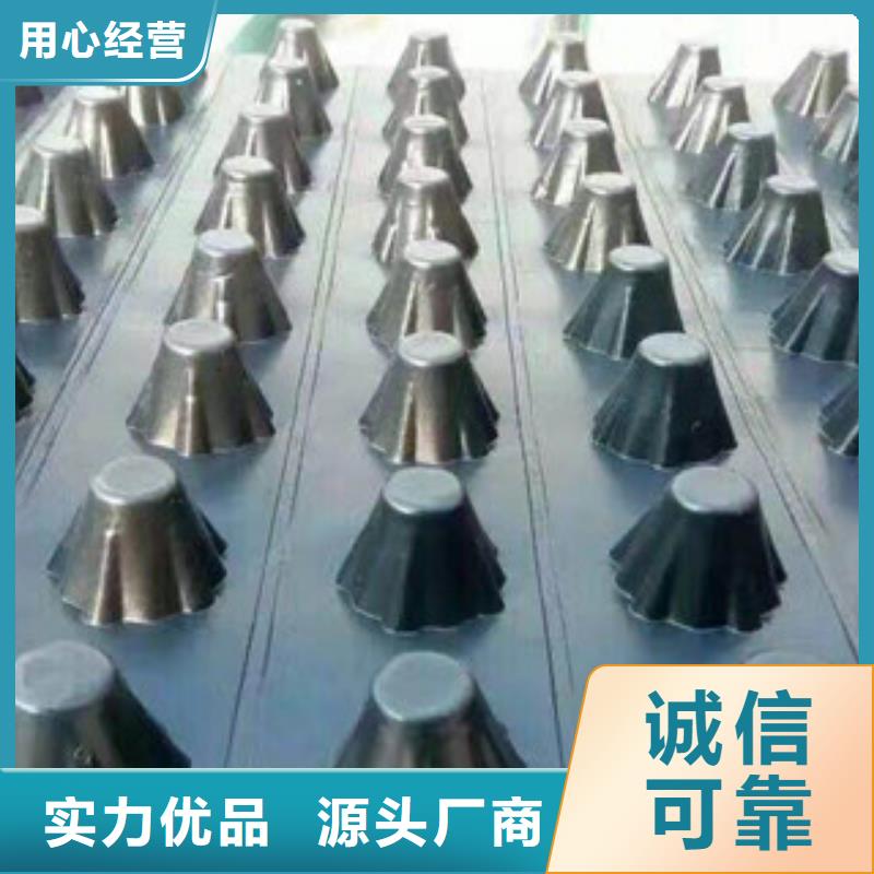 【塑料排水板_蓄排水板厂家主推产品】
