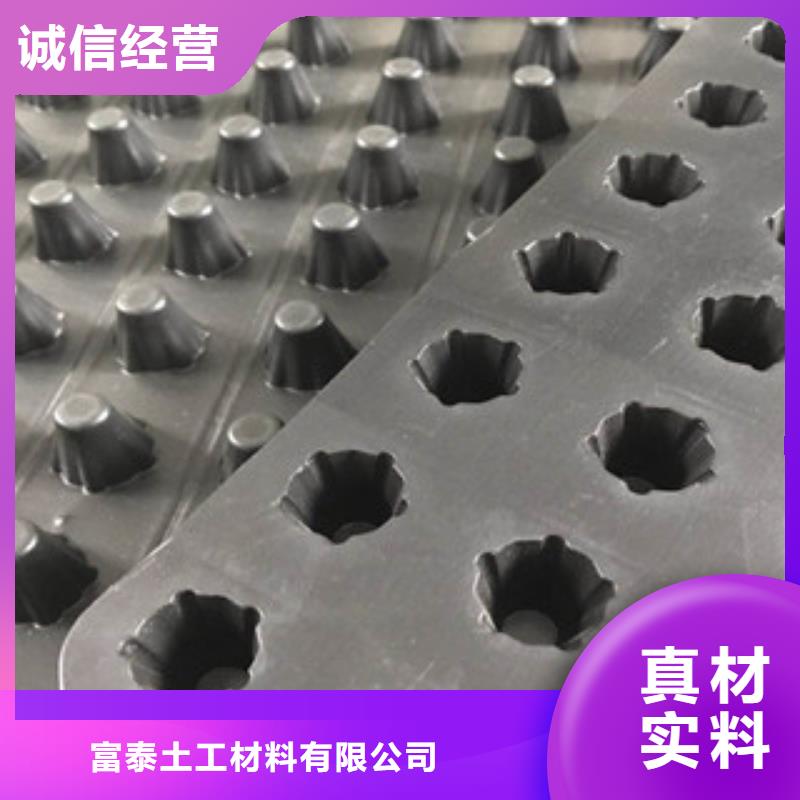塑料排水板蓄排水板厂家诚信厂家
