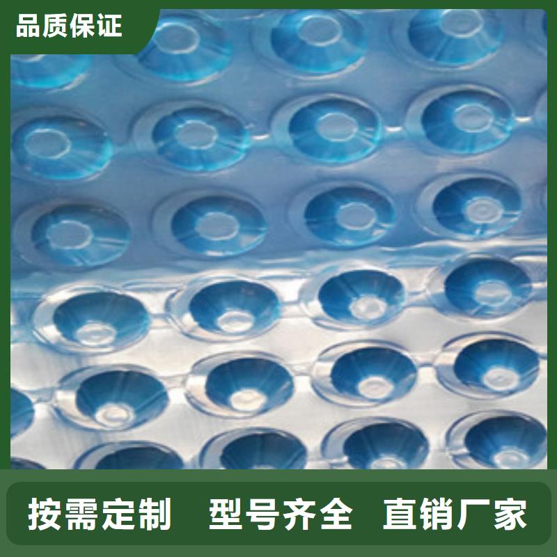 采购《富泰》塑料排水板蓄排水板厂家从厂家买售后有保障