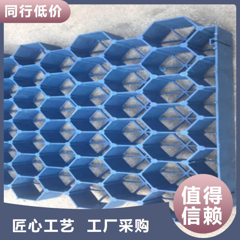 【植草格土工布厂家放心选购】
