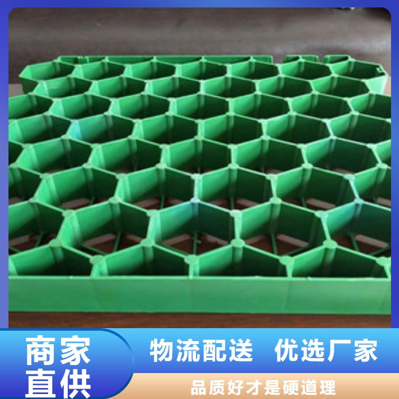 植草格【土工布厂家】产地直销