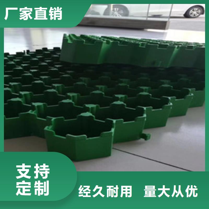 植草格蓄排水板厂家欢迎来电咨询