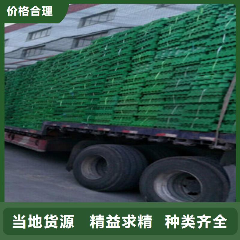 植草格-蓄排水板厂家质检合格发货