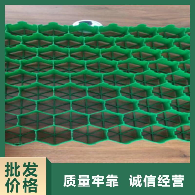 植草格-蓄排水板厂家质检合格发货