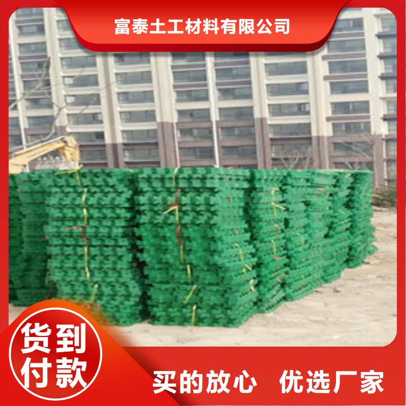 植草格【土工布厂家】产地直销