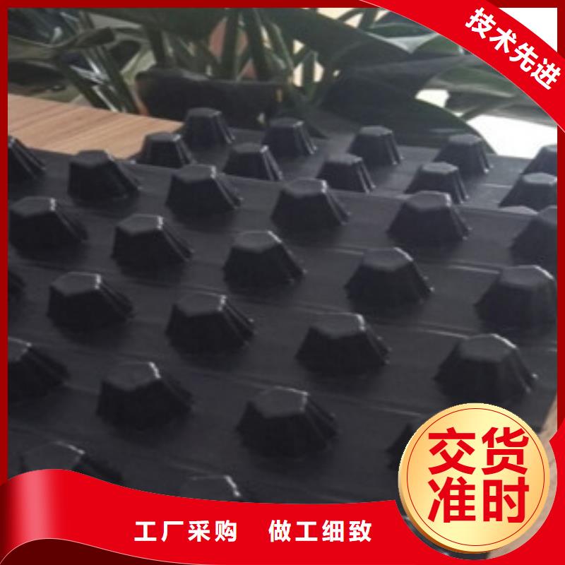 排水板_生态袋厂家随到随提