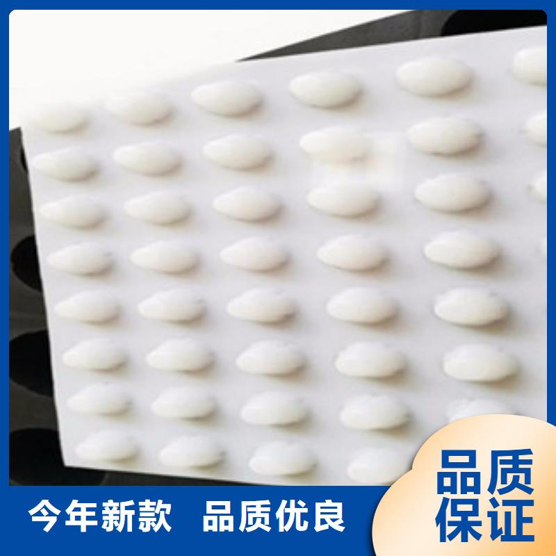 排水板土工膜厂家专业生产N年