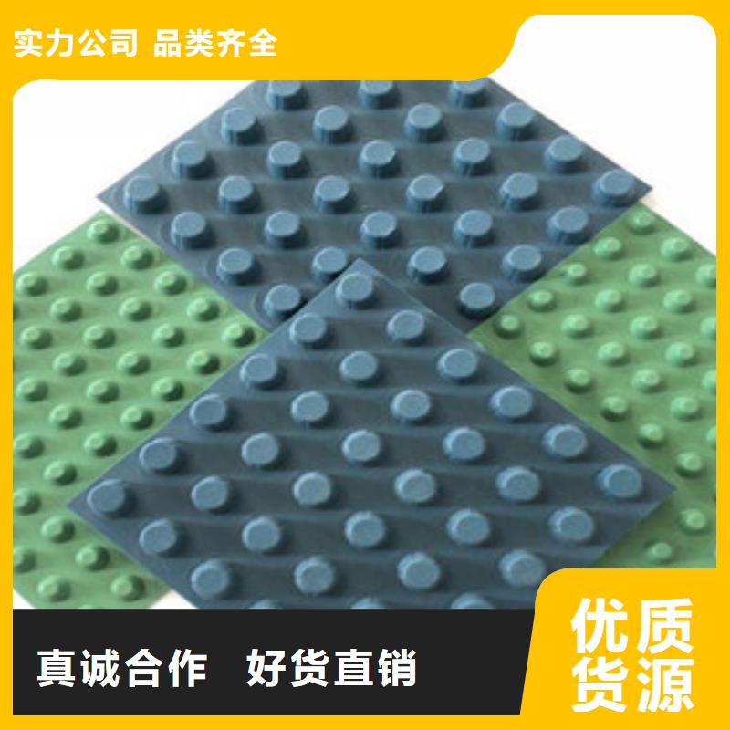 排水板土工膜厂家专业生产N年
