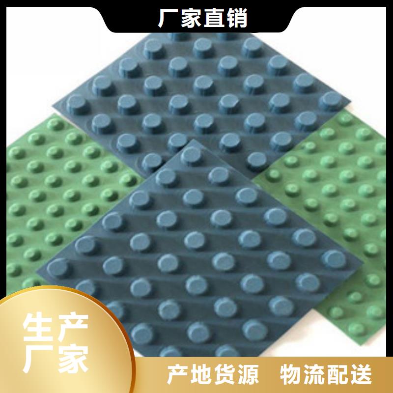 排水板土工膜厂家专心专注专业