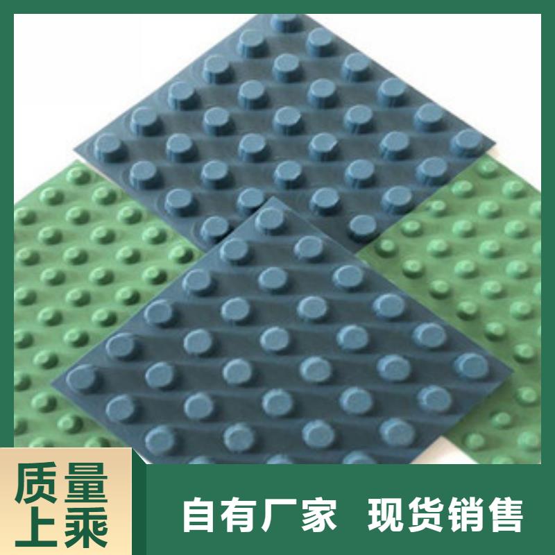 【排水板】植草格厂家今年新款