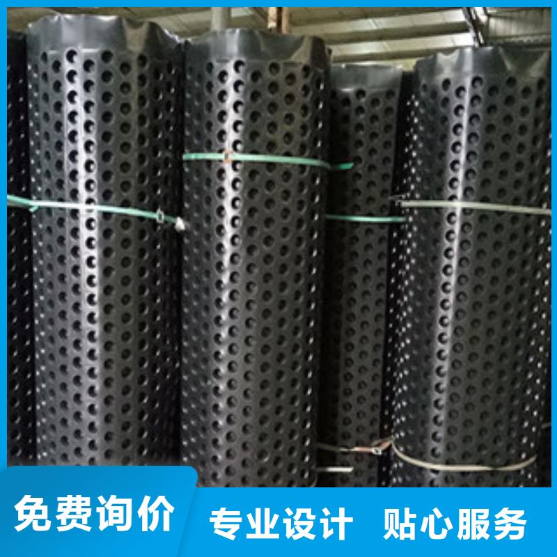 排水板植草格厂家源头厂家供应