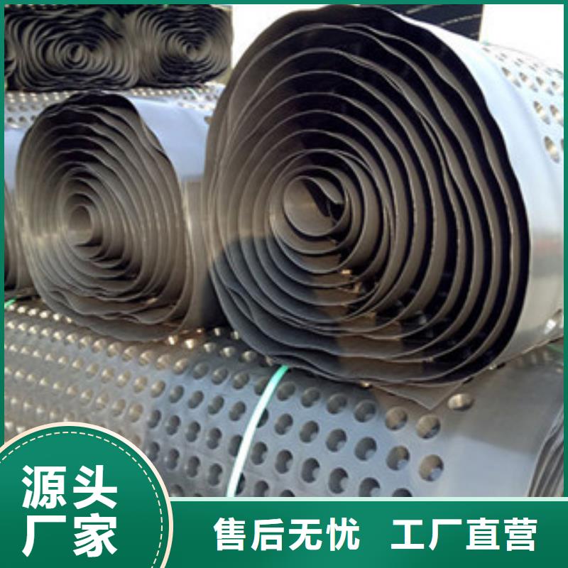 排水板土工膜厂家一站式供应厂家
