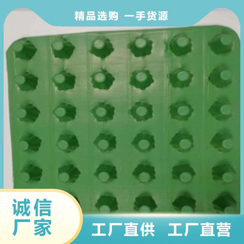 排水板蓄排水板厂家严选用料