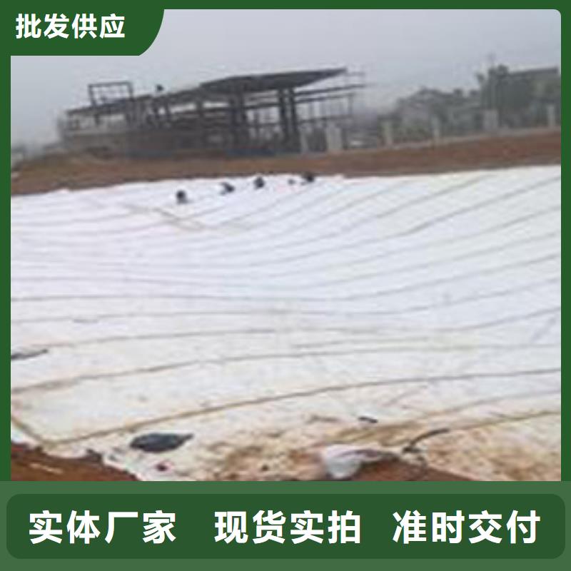 防水毯无纺布厂家用品质赢得客户信赖