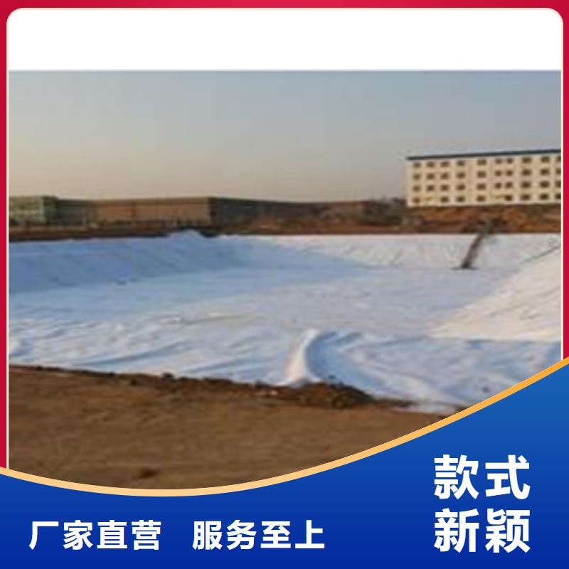 防水毯【植草格厂家】精心打造