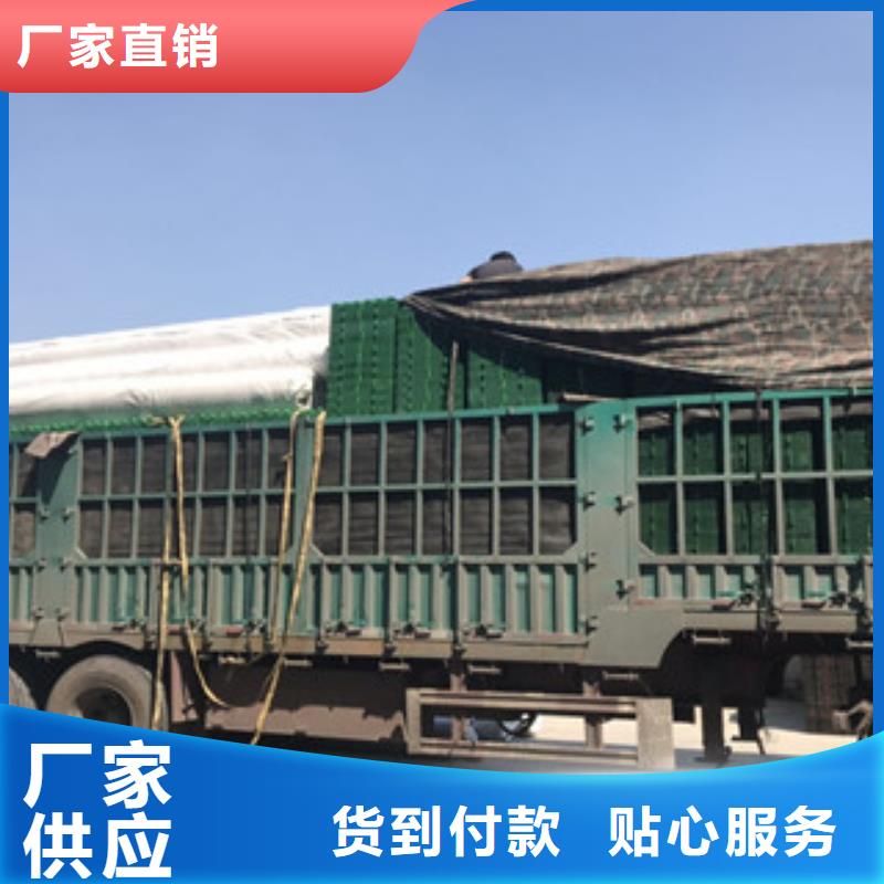 【蓄排水板,膨润土防水毯厂家精选货源】