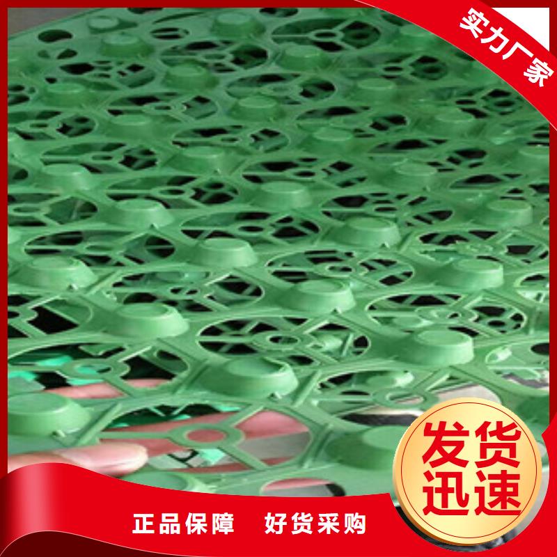 【蓄排水板】土工膜厂家全品类现货