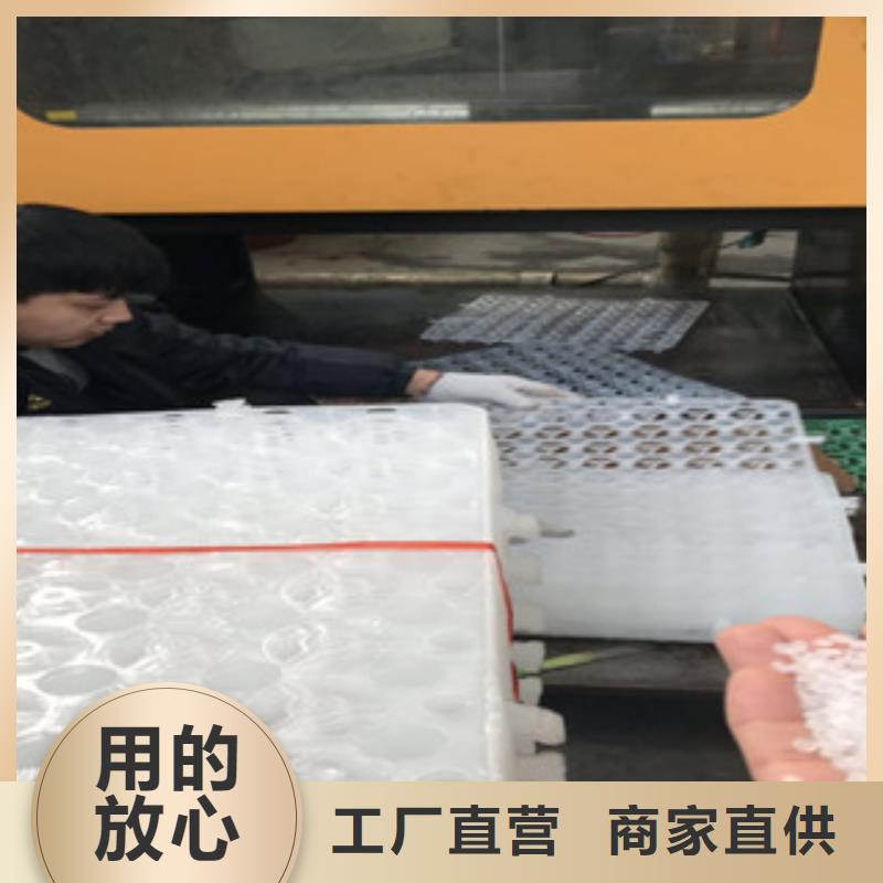 蓄排水板,生态袋厂家生产安装