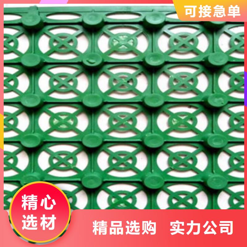 【蓄排水板,土工膜厂家当地货源】