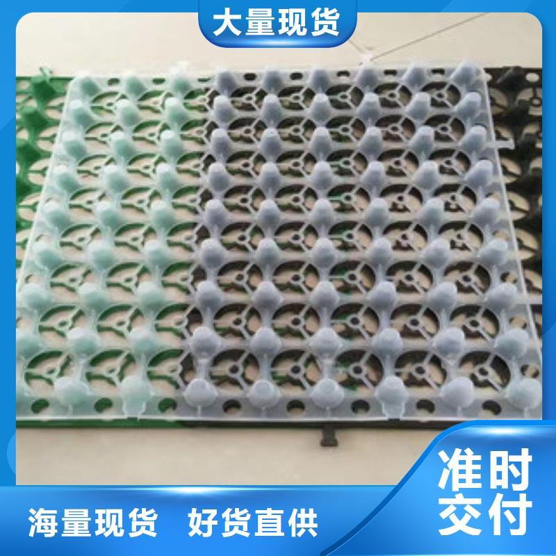 蓄排水板植草格厂家质量看得见