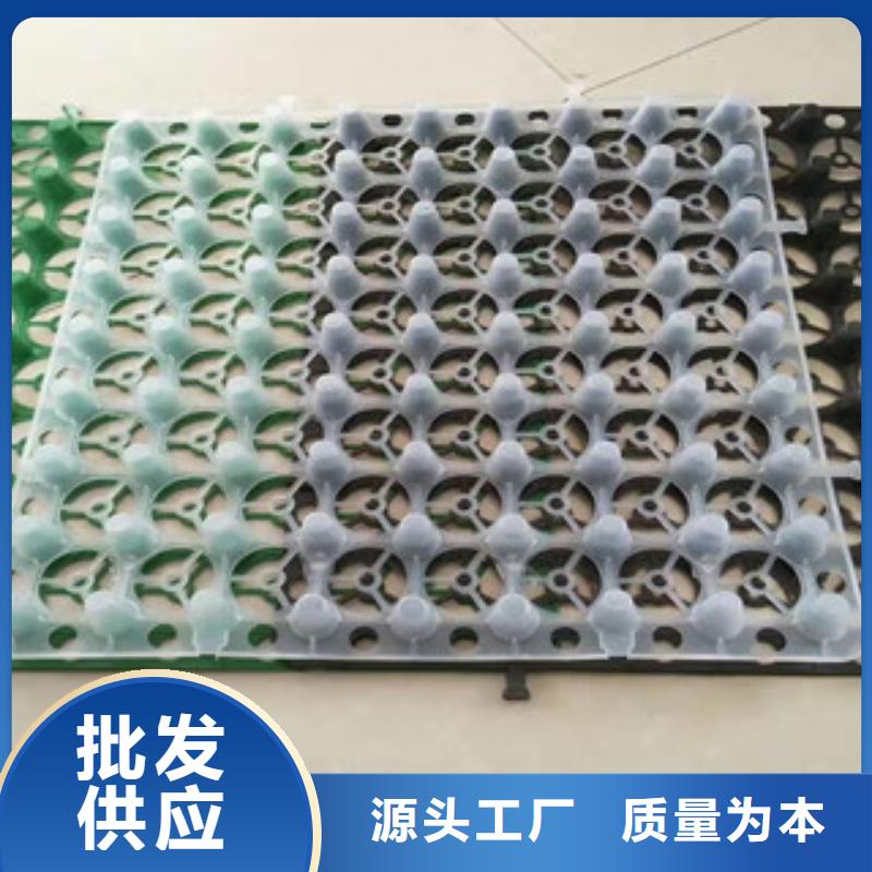 【蓄排水板】膨润土防水毯厂家精工细致打造