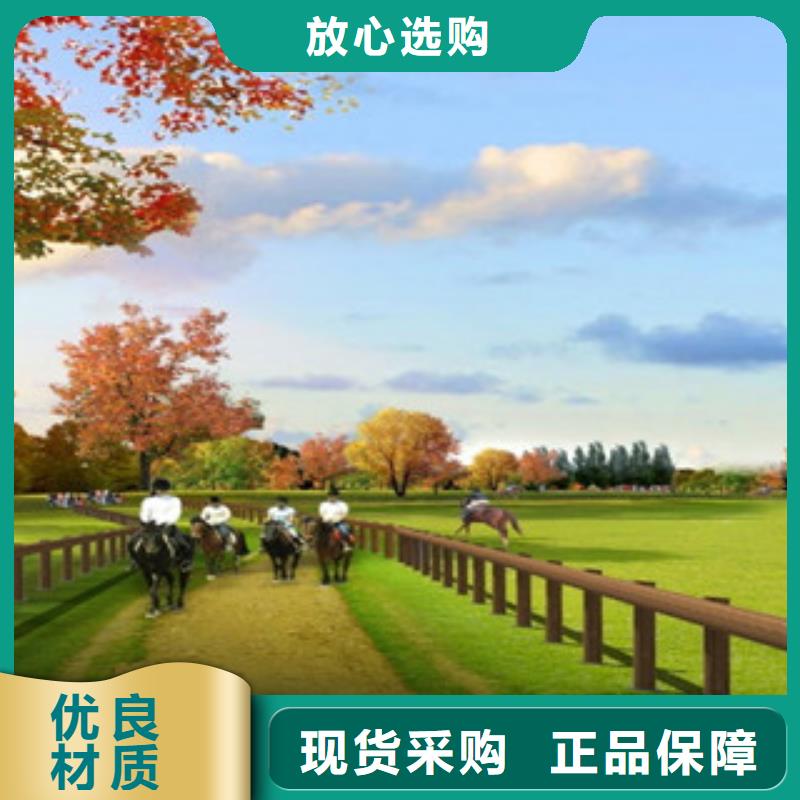 钢背木护栏桥梁防撞护栏厂家自营