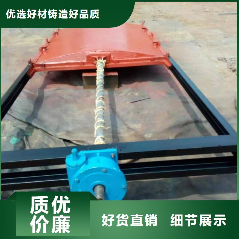 生产加工(康禹)经验丰富的水库铸铁闸门基地