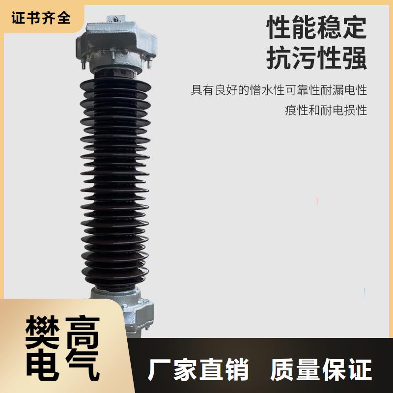 YH10W-30L防雷器